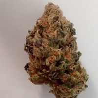 The Diamond Bonsai Website