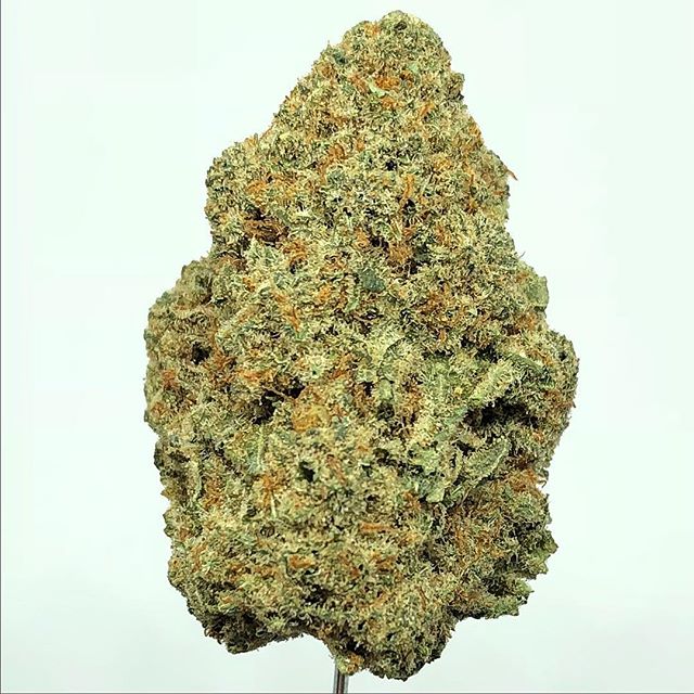 Budlandia - Division St. Website