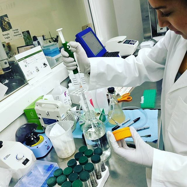 The Sequoyah Group, LLC Website