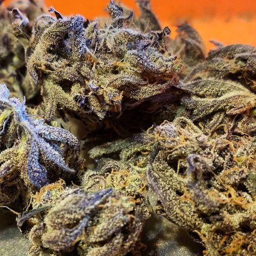 Secret Stash Xpress Website