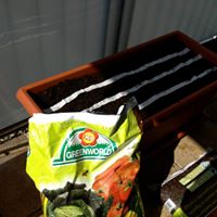 asb greenworld Website