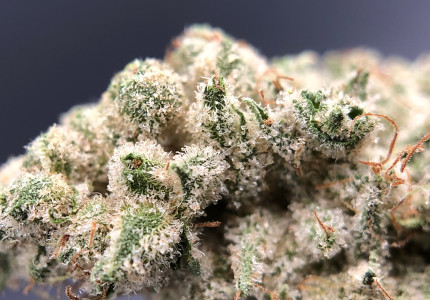 PurLife - Montgomery Website