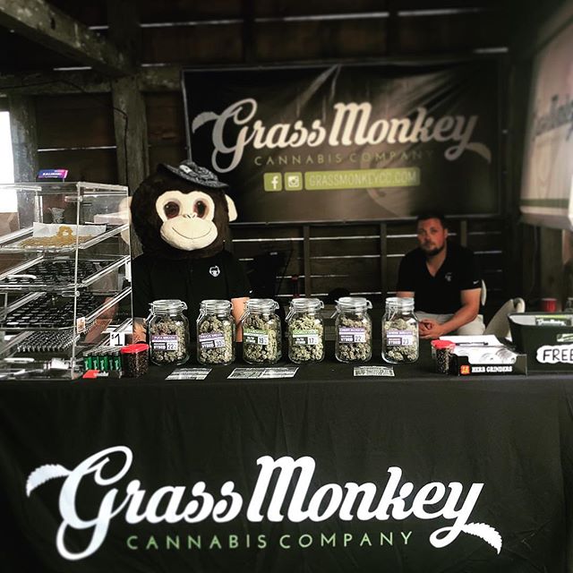 Grass Monkey Cannabis Company Website