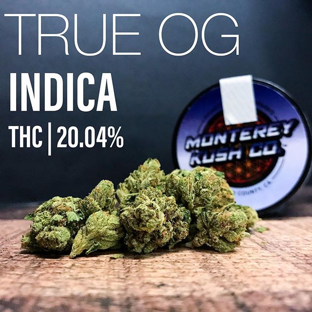 Captain Jacks Website