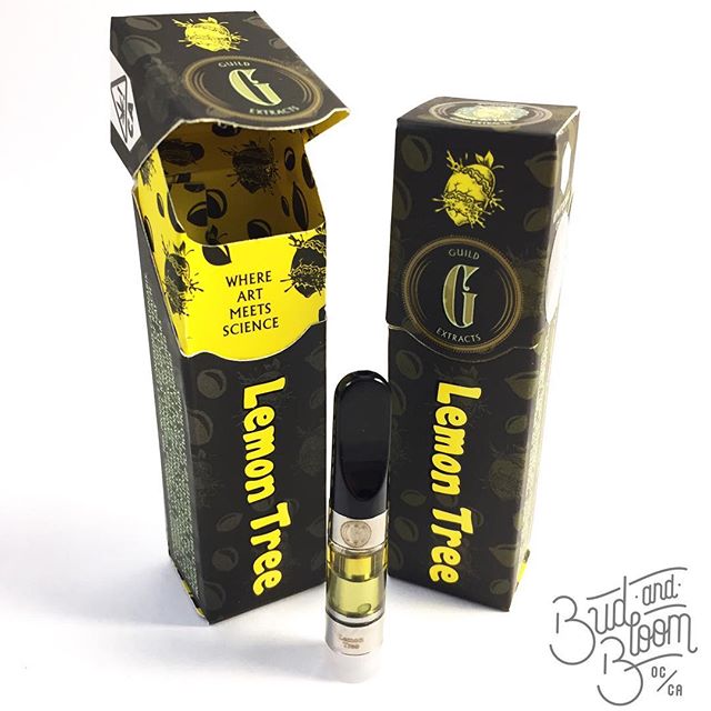 Bud and Bloom - Santa Ana Website