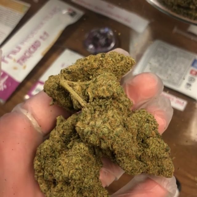 Highway 420 Seaside Website