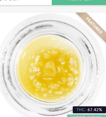 Bay Care Delivery Website