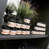 Nashville CBD Solutions Website