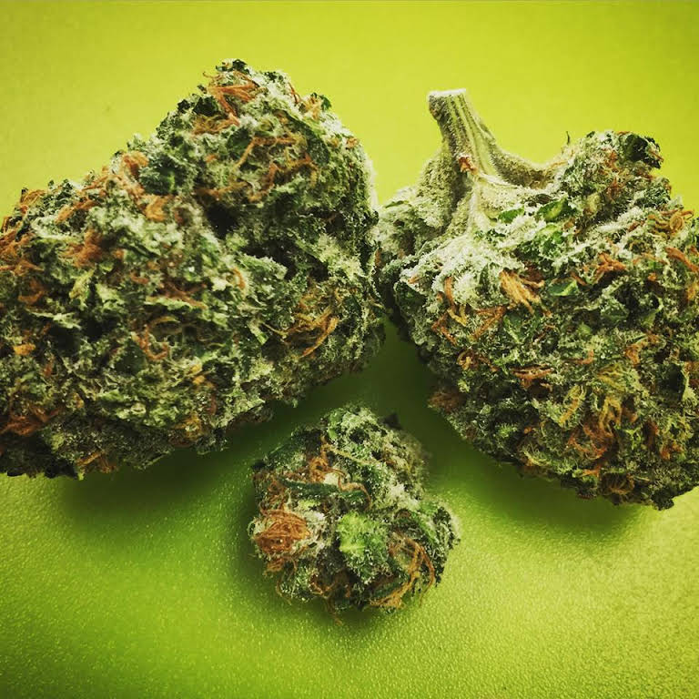 Pure Intentions Wellness Center Website