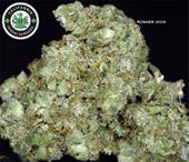 LOS ANGELES KUSH - EAST LA Website