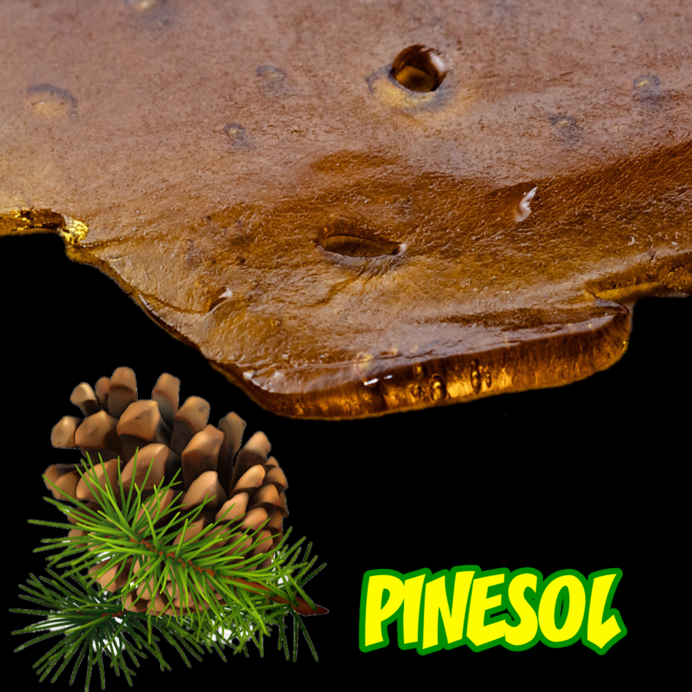 Healthy Greens Delivery Website