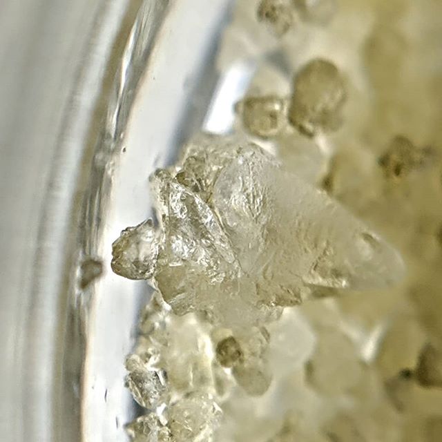 The Herbal Care Center Chicago Website