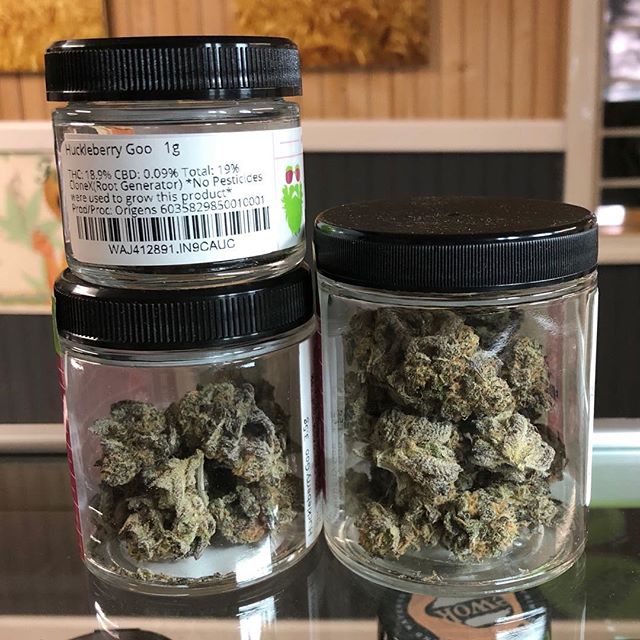 I-90 Green House - Ritzville Website