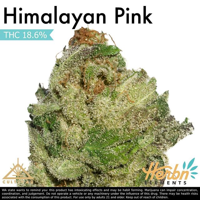 Herbn Elements – Lake City, Seattle Website