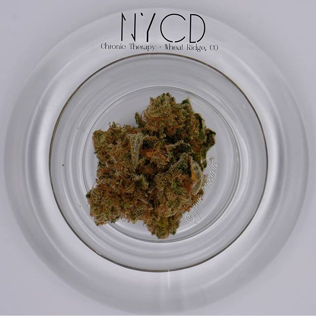 Chronic Therapy - Cortez Website