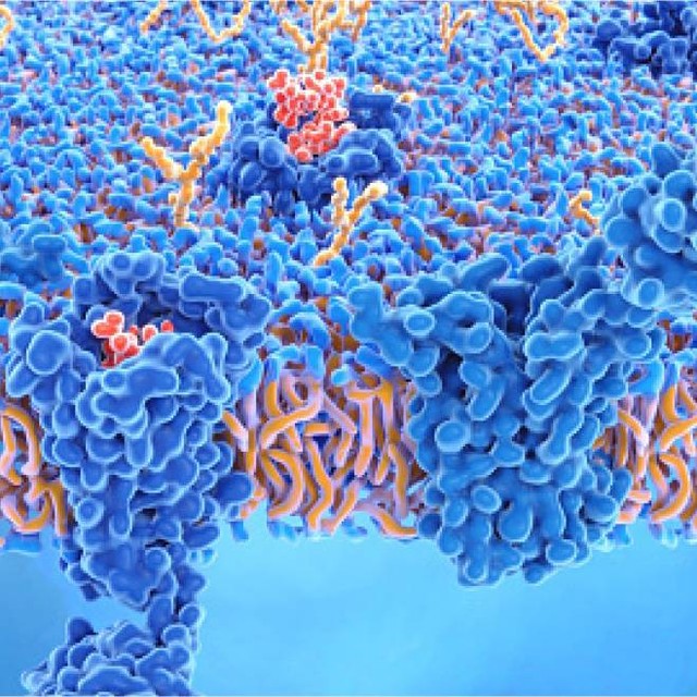 Freedom Road Dispensary - Brickyard Website