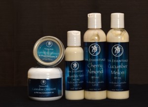 Pure Medical 2 Website