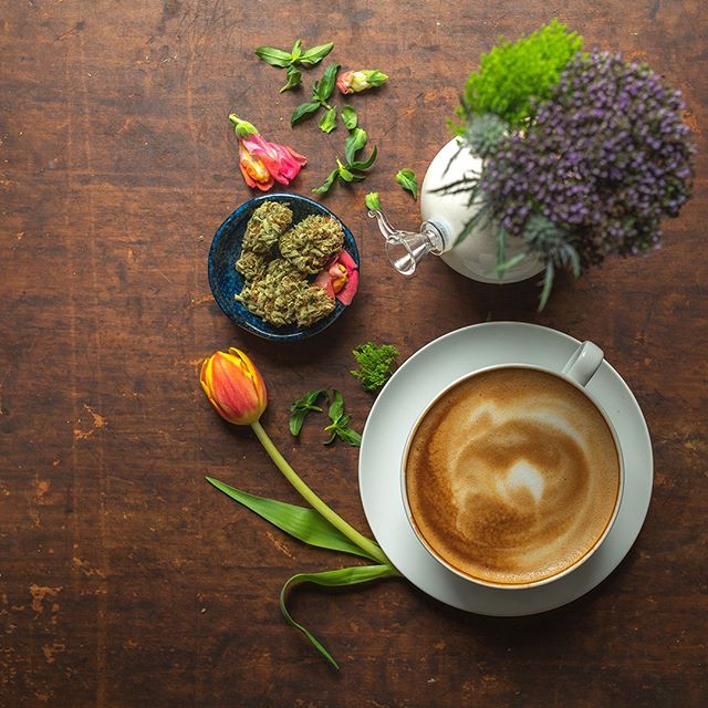 Curaleaf - Auburn Website