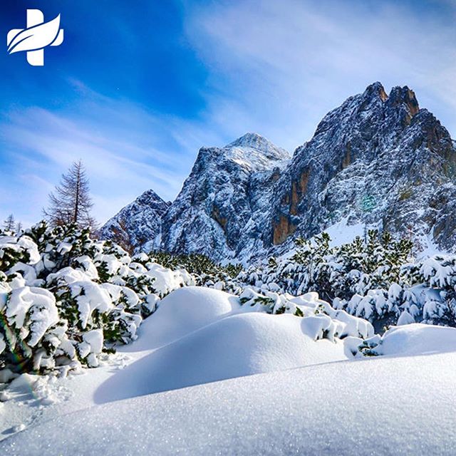 Natural Health Services - Calgary Website