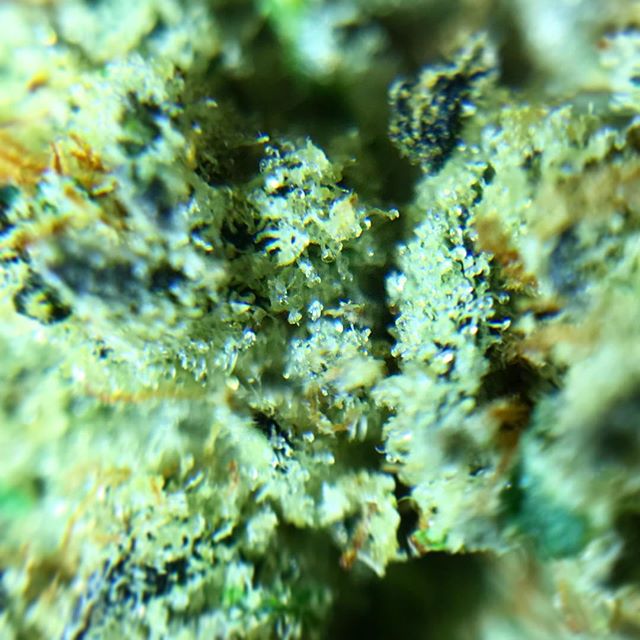 Green Man Cannabis - Downtown Website