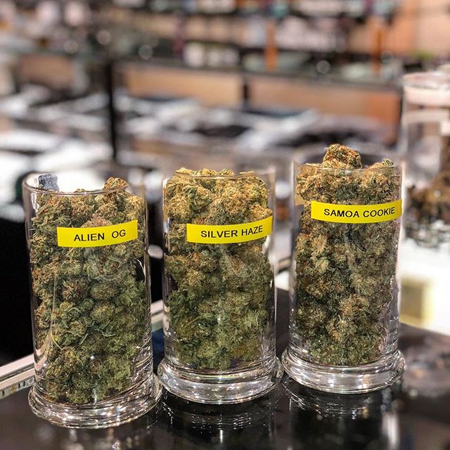 GREEN ACRES WELLNESS CENTERS Website