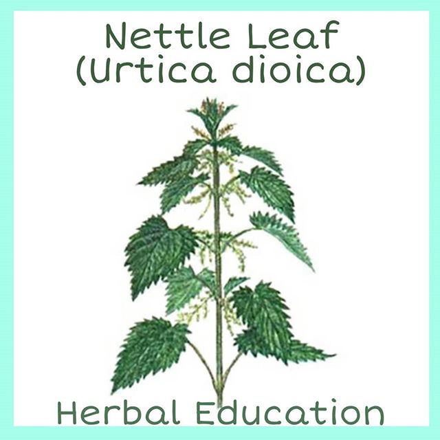 Breeze Botanicals - Ashland Website