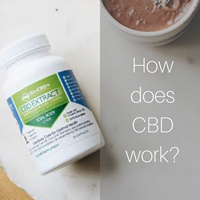 Bio CBD Plus Website