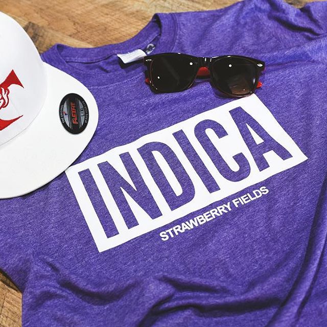 Strawberry Fields Colorado Springs Website