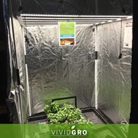 VividGro Website
