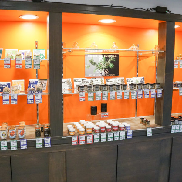 A Greener Today - Shoreline Website