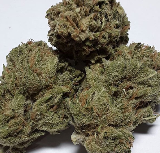 Green Envy Collective Website