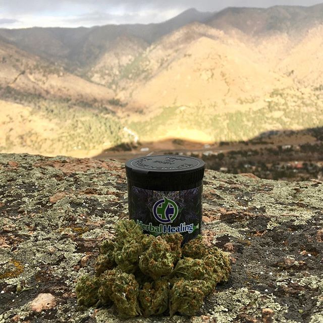 Herbal Healing Website