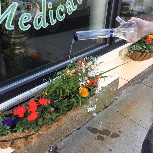 Main Street Medical Caregivers Website