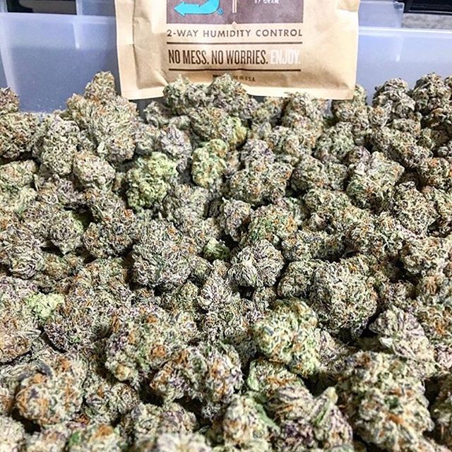 Canopy Health and Wellness Website