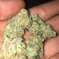 LoudPack Farms Website