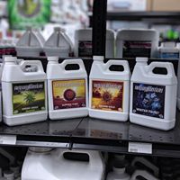 Big Green Tomato Website