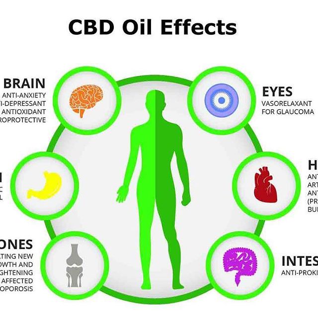 CBDepot - Estes Park Website