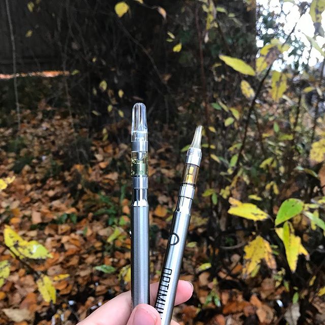 Kush21 - Pullman Website