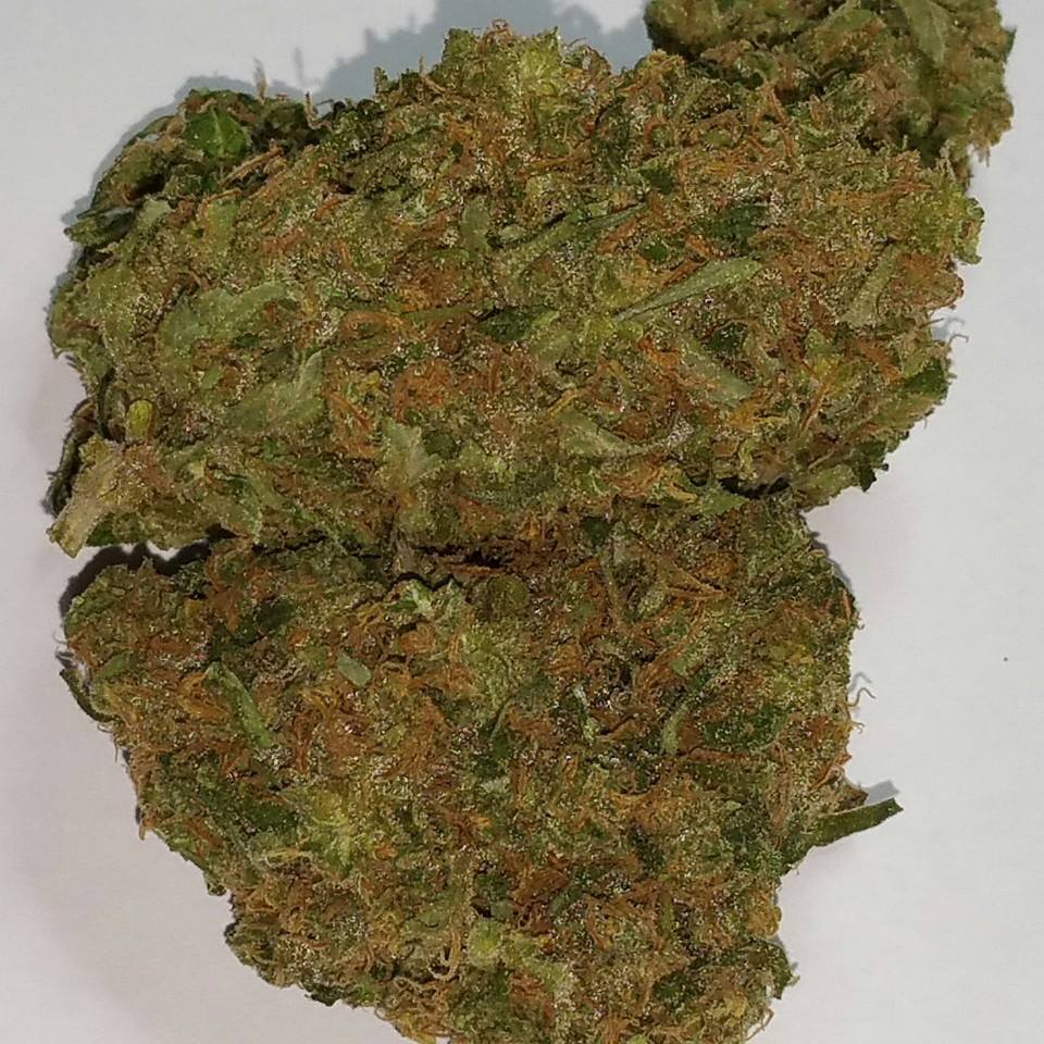 Little Amsterdam - Nevada Website