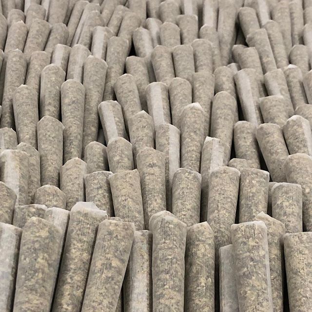 Revolutionary Clinics - Fresh Pond Website