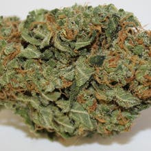 Pine Street Cannabis Company Website