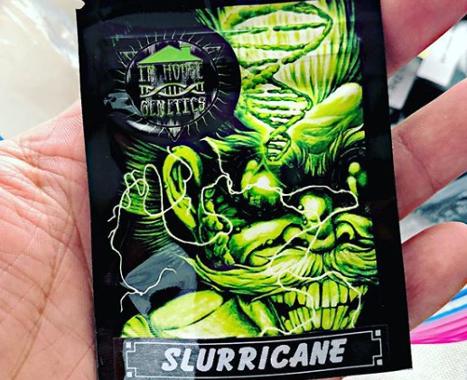 Green Elevation Delivery Website