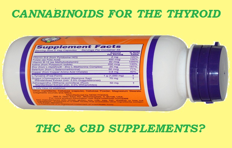 420EvaluationsOnline - El Monte Website