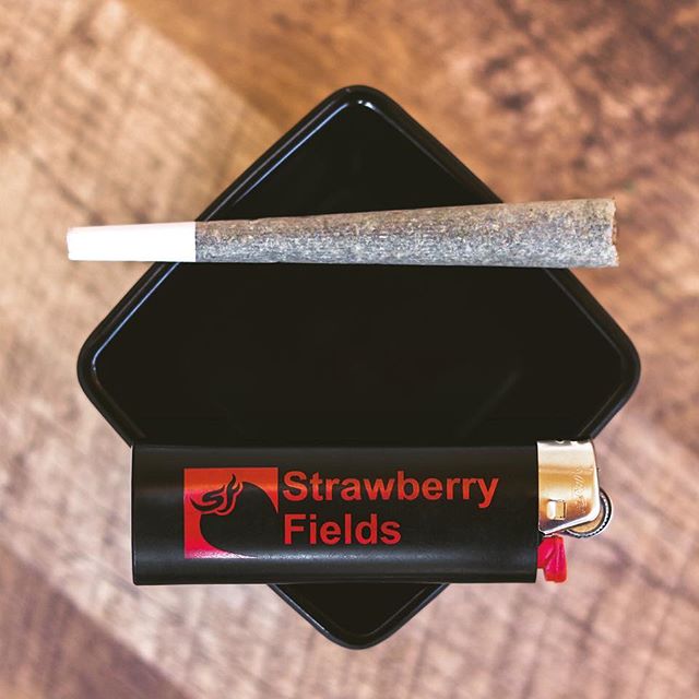 Strawberry Fields Colorado Springs Website