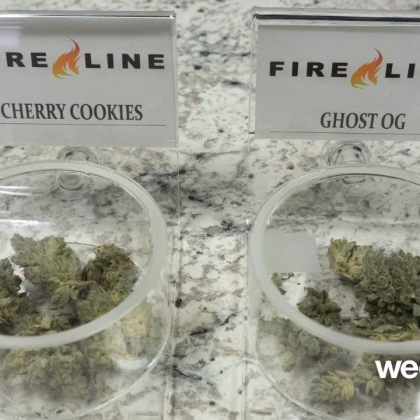 A Greener Today - Lynnwood Website