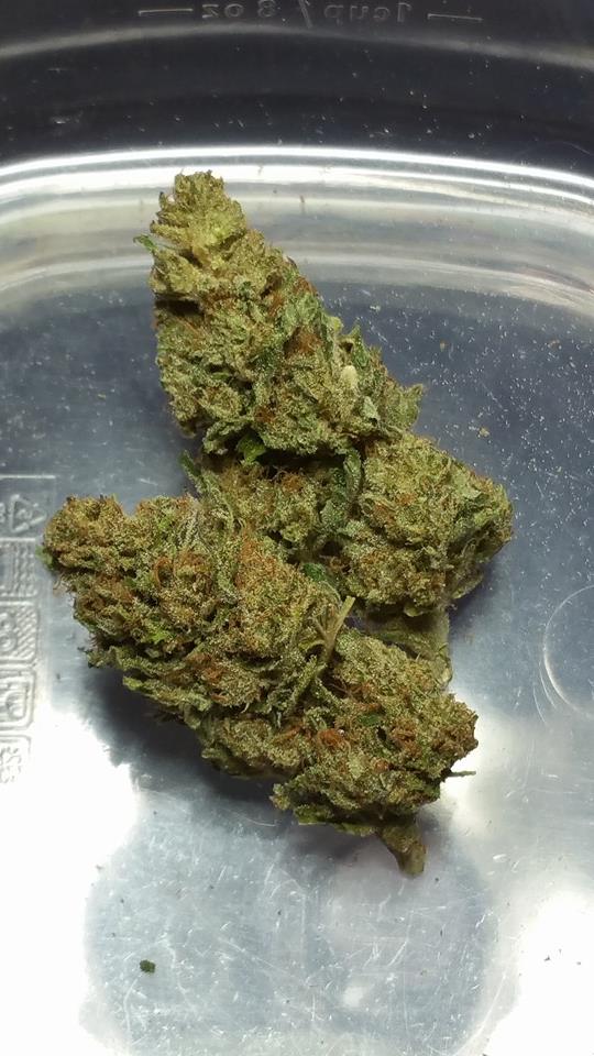 Little Amsterdam - Nevada Website