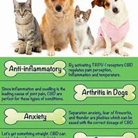 TruBliss Organics Website