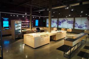 Altitude East Denver Website