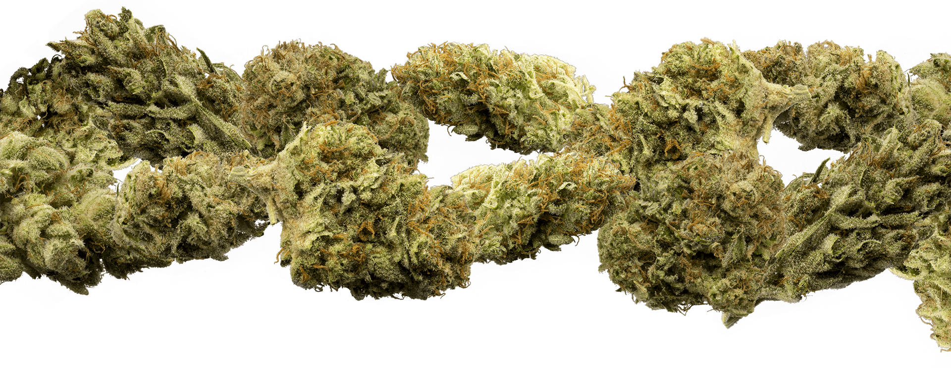 NETA - Northampton Website