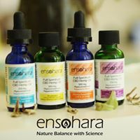 Ensohara INC Website